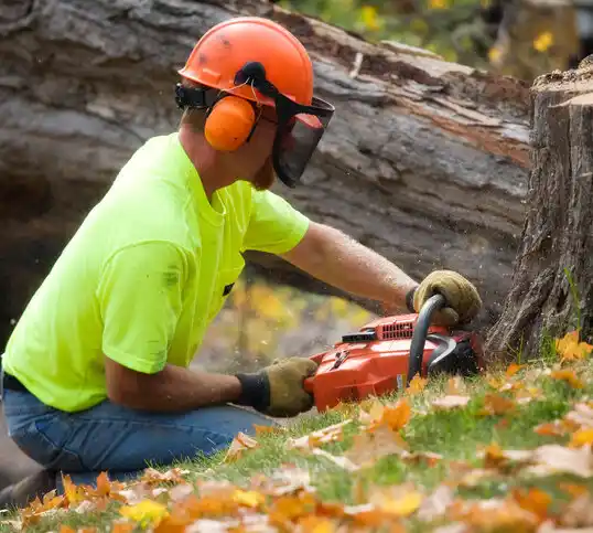 tree services Leonardtown